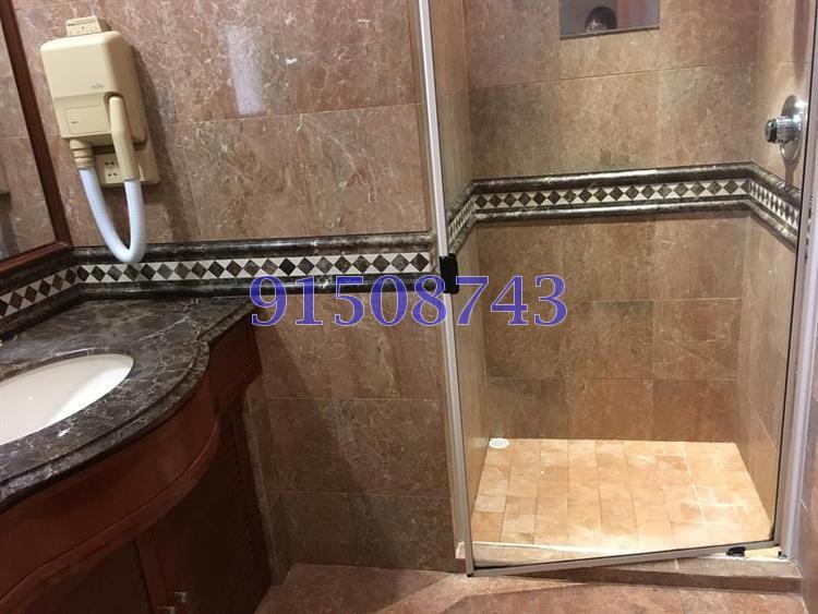Dover Parkview (D5), Condominium #173553372